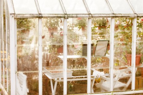 Лучшие зимние сады и оранжереи в доме — 42 фото